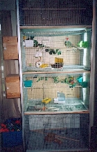 a breeder cage