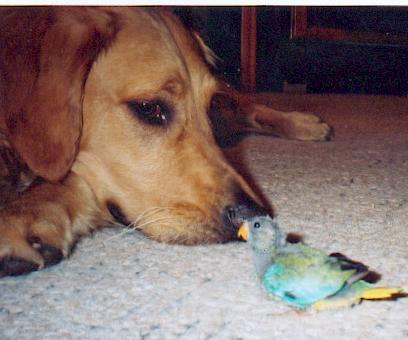 sam and charlie