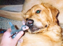 Sam and Tipper