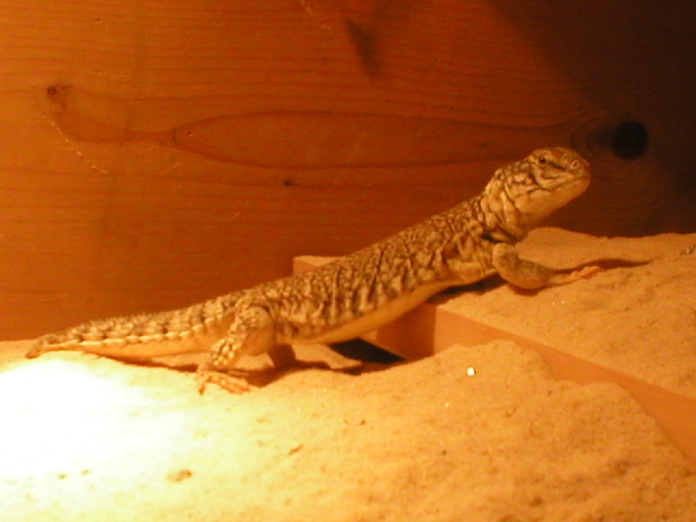 Full body shot