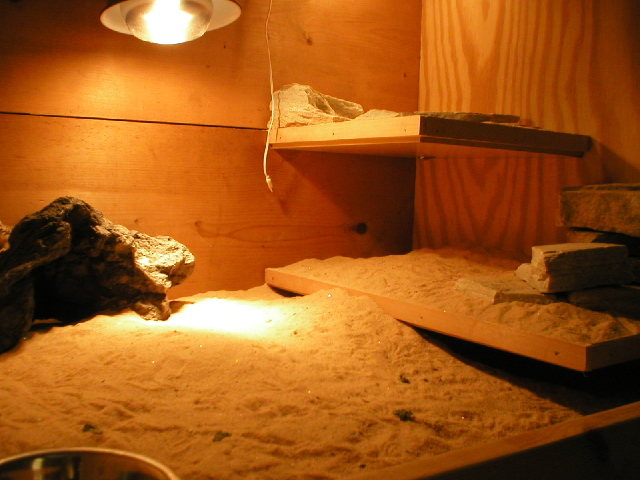 Uromastyx enclosure
