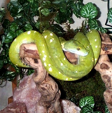Zalty at home