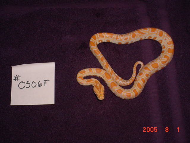 baby6