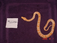 baby9