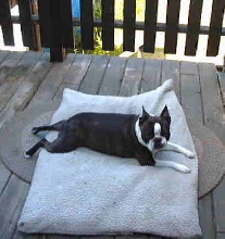 Riley  laid back
