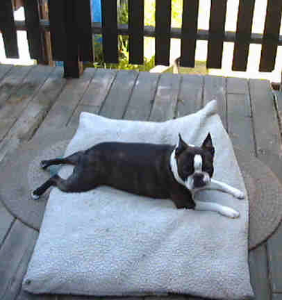 Riley  laid back