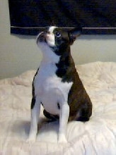 Riley