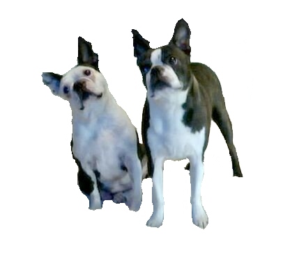 Holly and Riley