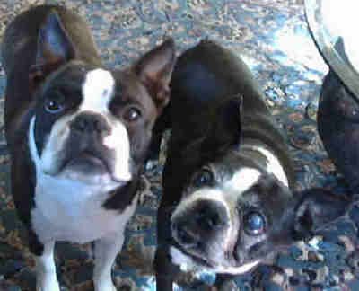 Prissy and Riley