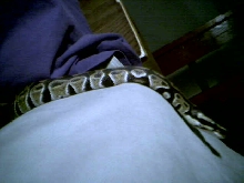 trouser on my leg