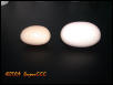 Slug Comparison