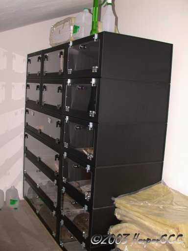 Boa Setup 12/03