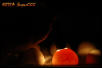 Candling 1
