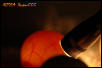 Candling 2