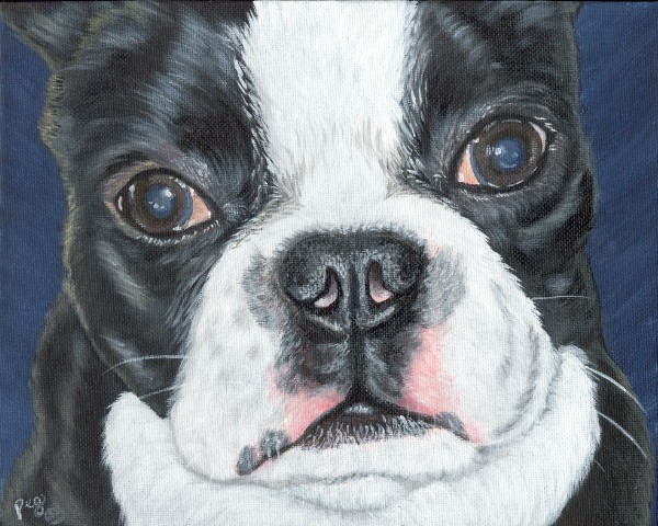 dog