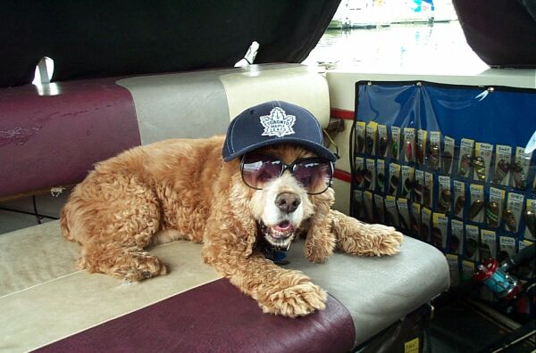 curly loves the leafs