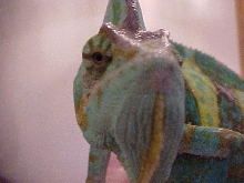 What you lookin at