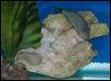 Saltwater Photos