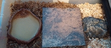 Nesting set up
