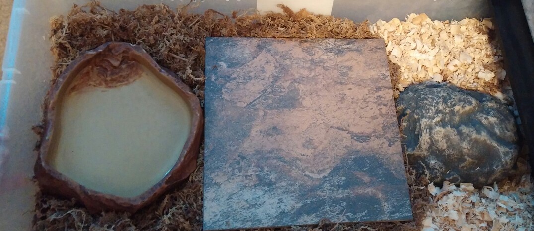 Nesting set up