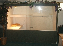 albino retic cage
