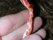 Side view