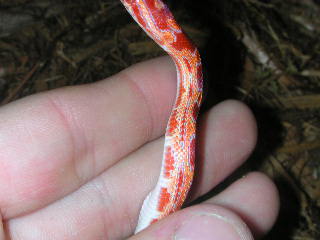 Side view