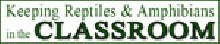 kingsnake ad logo
