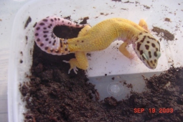 may9-13-03