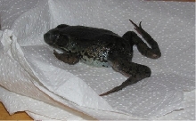 My ER - R.I.P.