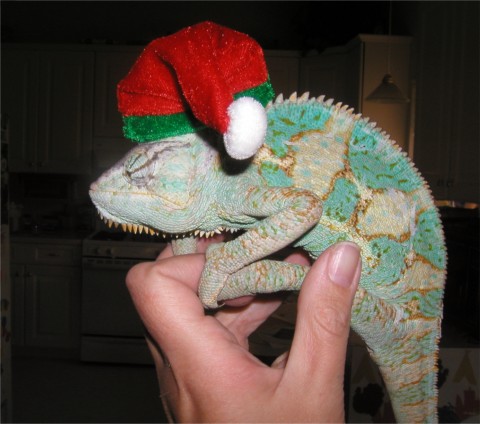 Santa?