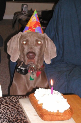 Hemi Lucas turns 1!!