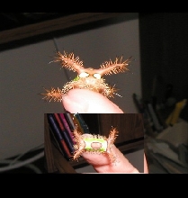 What is this???