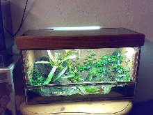 Light hood