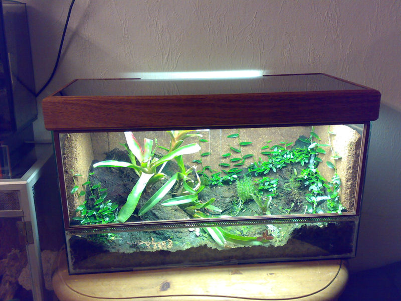 Light hood