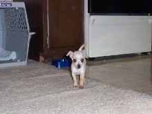 Pretty cute huh?