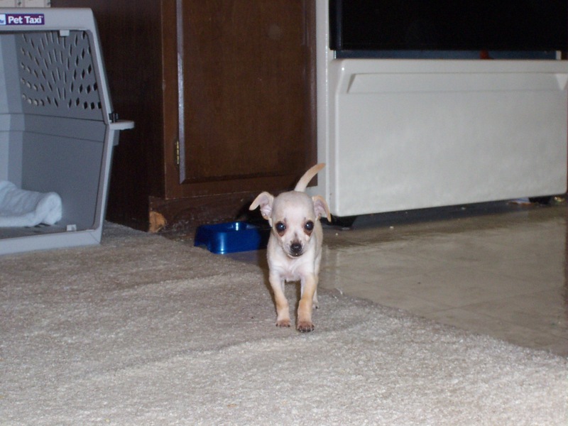 Pretty cute huh?