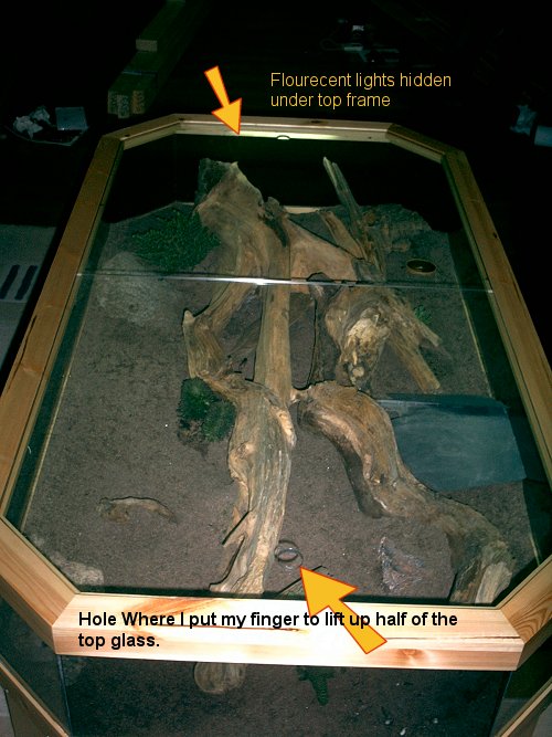 leo terarium