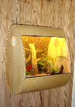 Artistic terarium
