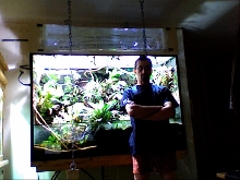 hanging paludarium