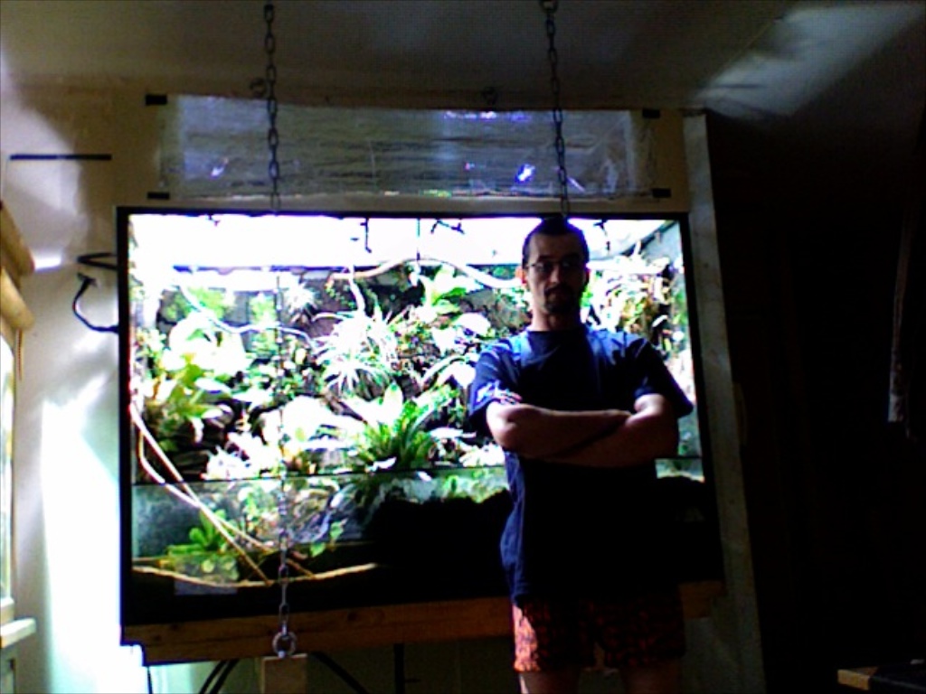 hanging paludarium