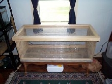 custom dragon enclosure