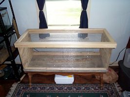 custom dragon enclosure
