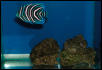 Saltwater Photos