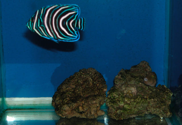 Saltwater Photos