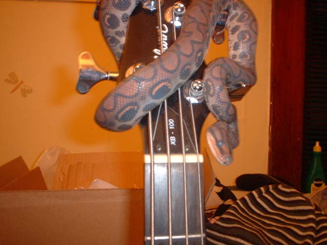 BRB on bass