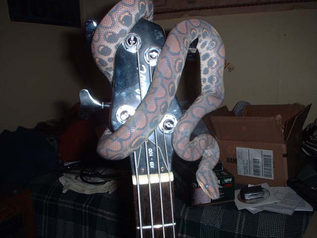 BRB on bass