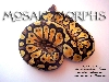 09FemPasRus-a