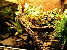 Terrarium2