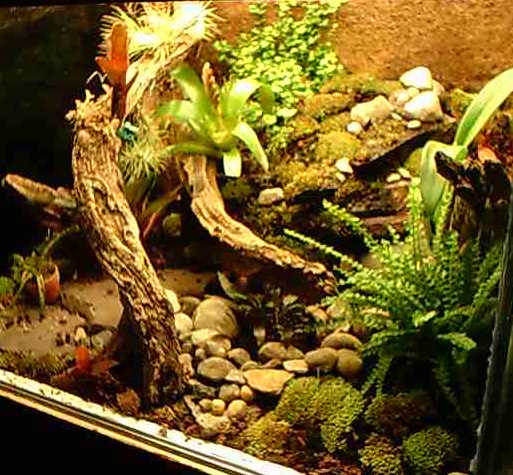 Waterfall/Pond Complete and planted